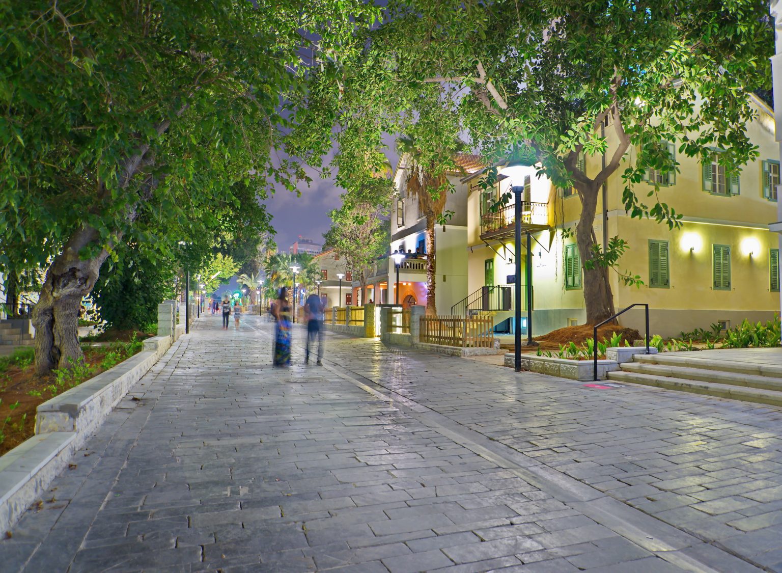 Avenue with trees and lights