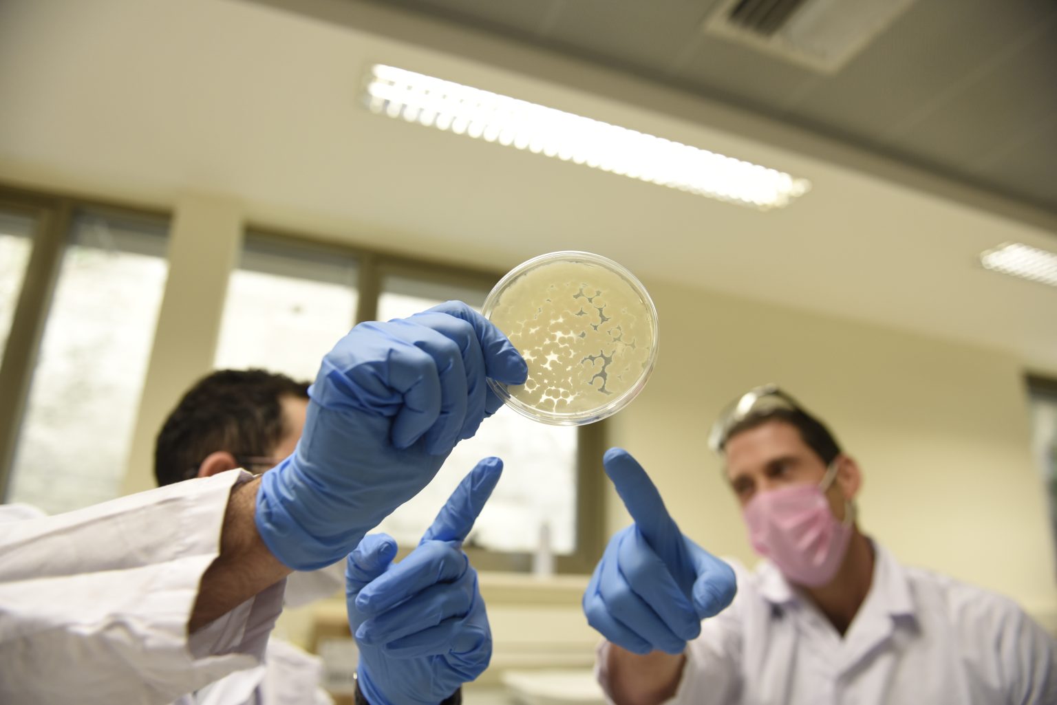 Two people in white coats and blue gloves looking at a petri dish