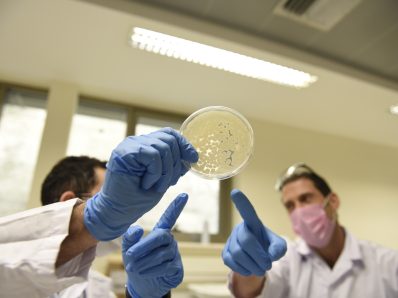 Two people in white coats and blue gloves looking at a petri dish